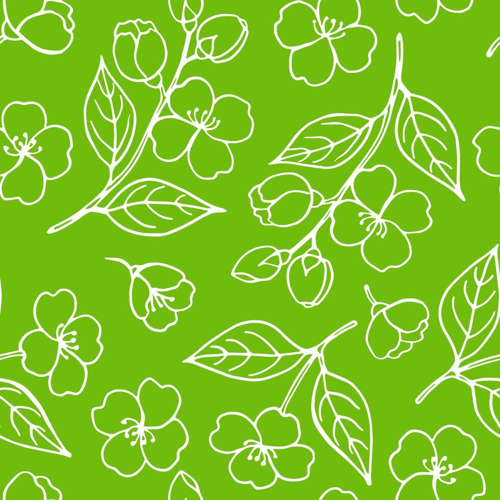 Seamless pattern with leaves and flowers of jasmine. Hand drawn illustration. vector