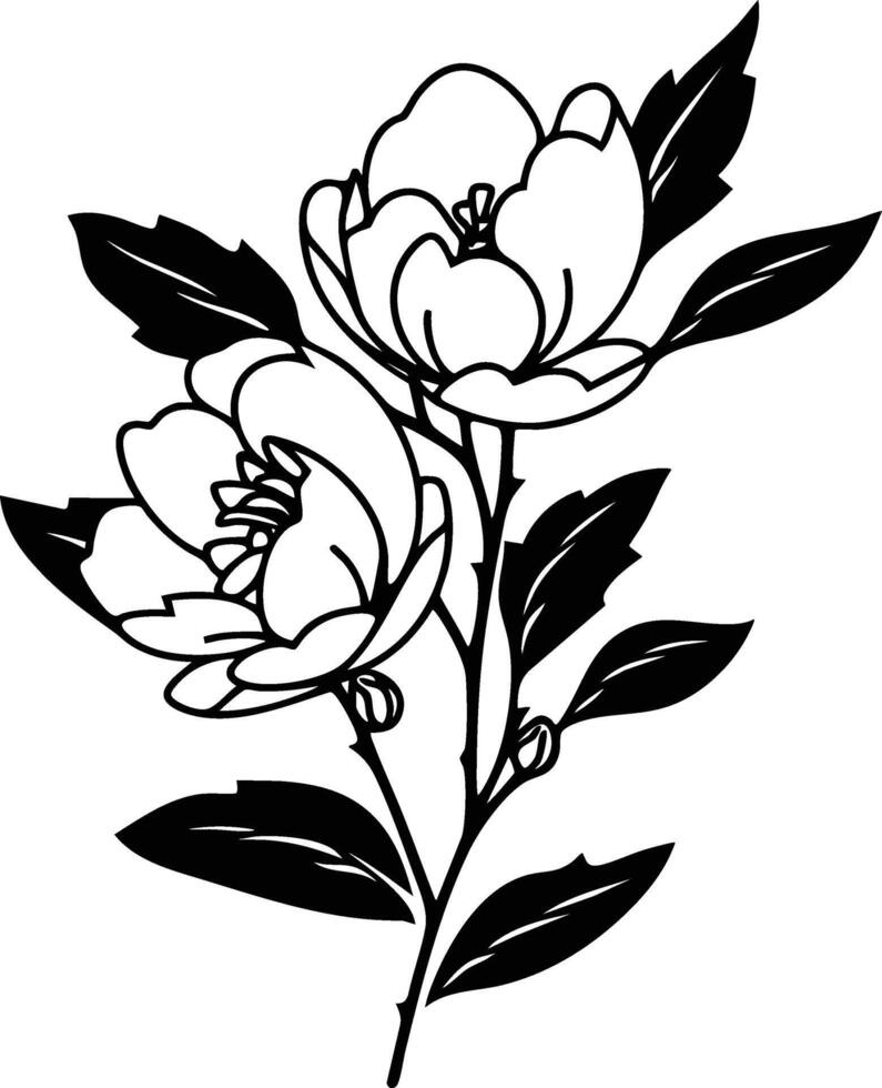Black and white flowers on a branch vector