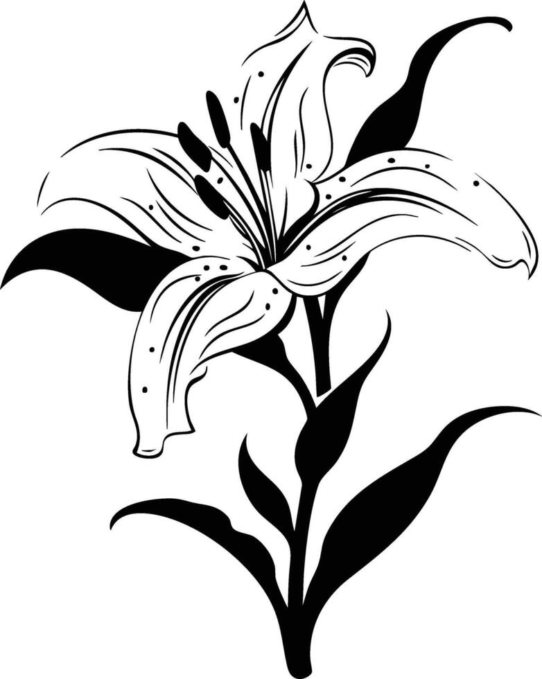 Black and white lily clip art vector
