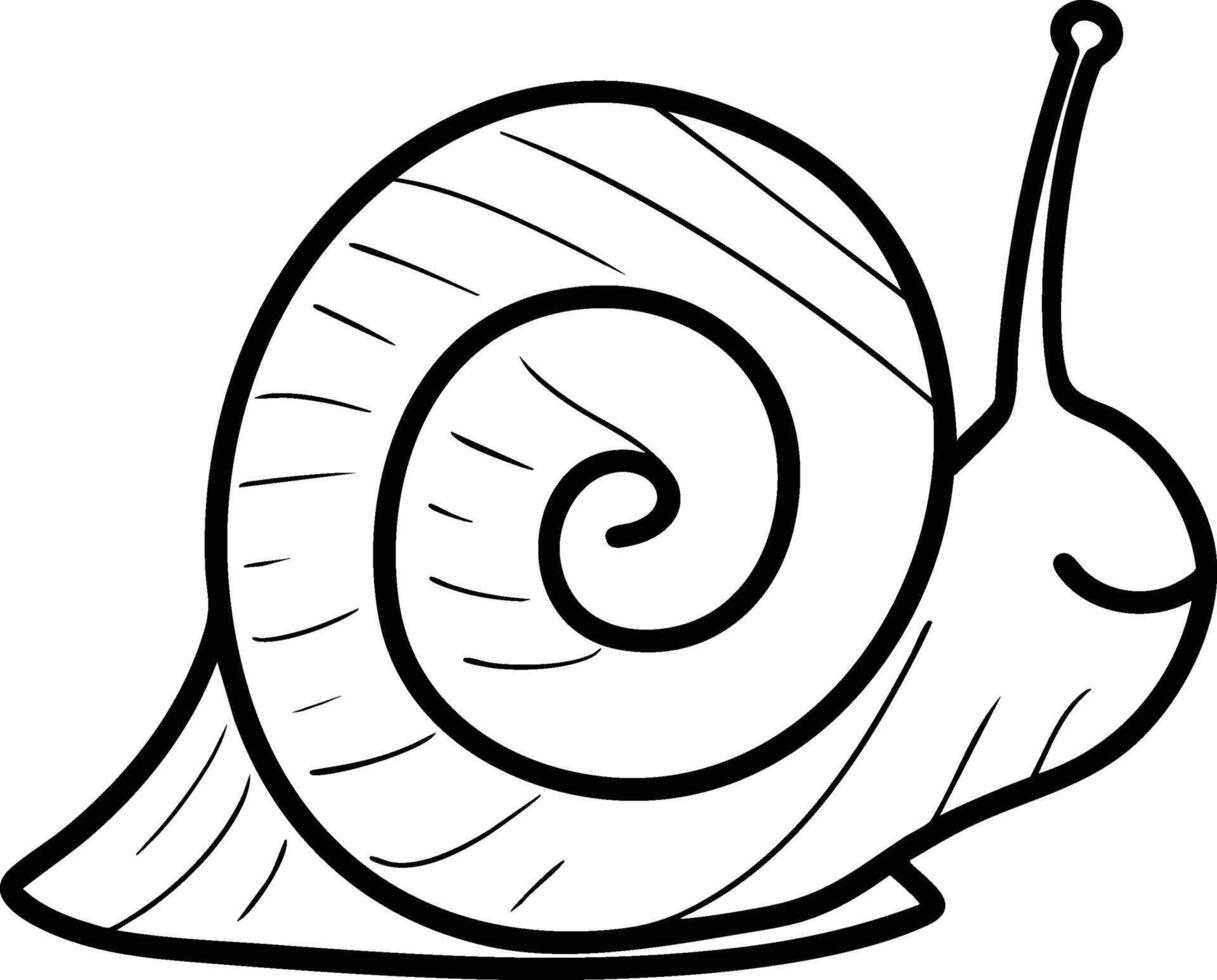 A snail coloring page for kids vector