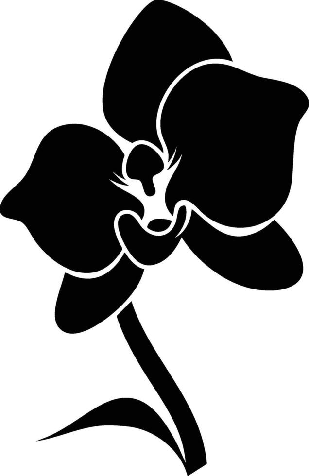 A black and white orchid flower on a white background vector