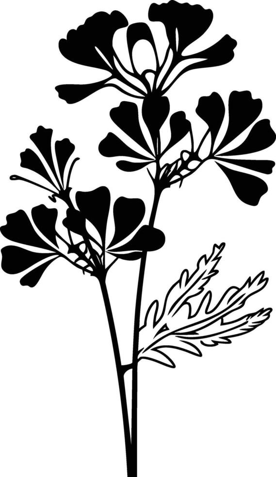 Black and white drawing of a flower vector