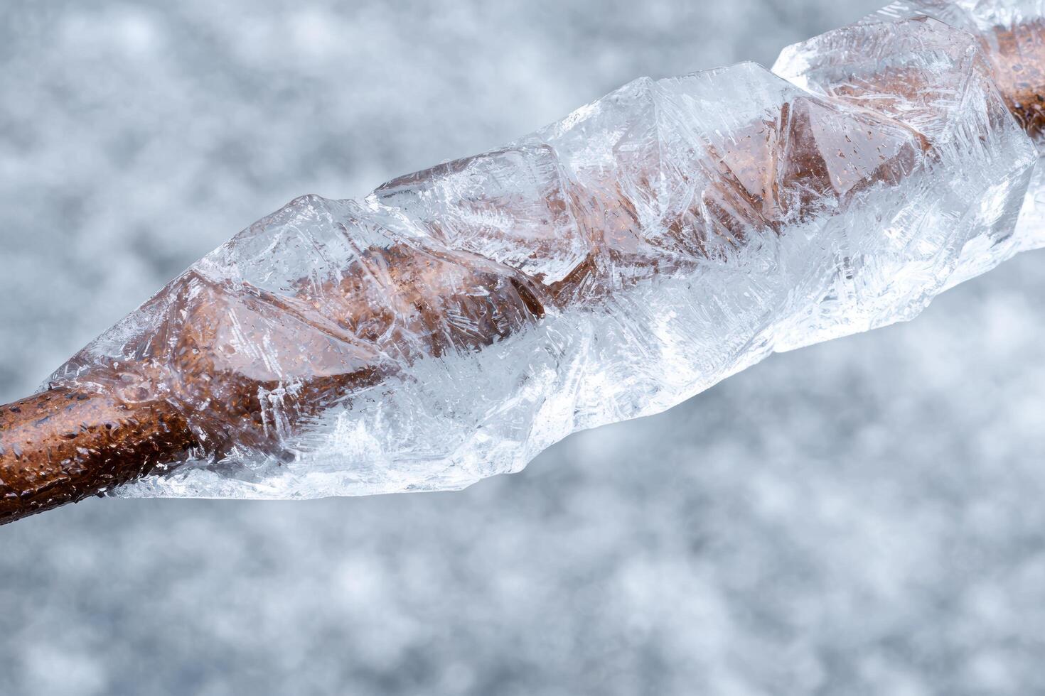 Icy crystal formation on a twig photo