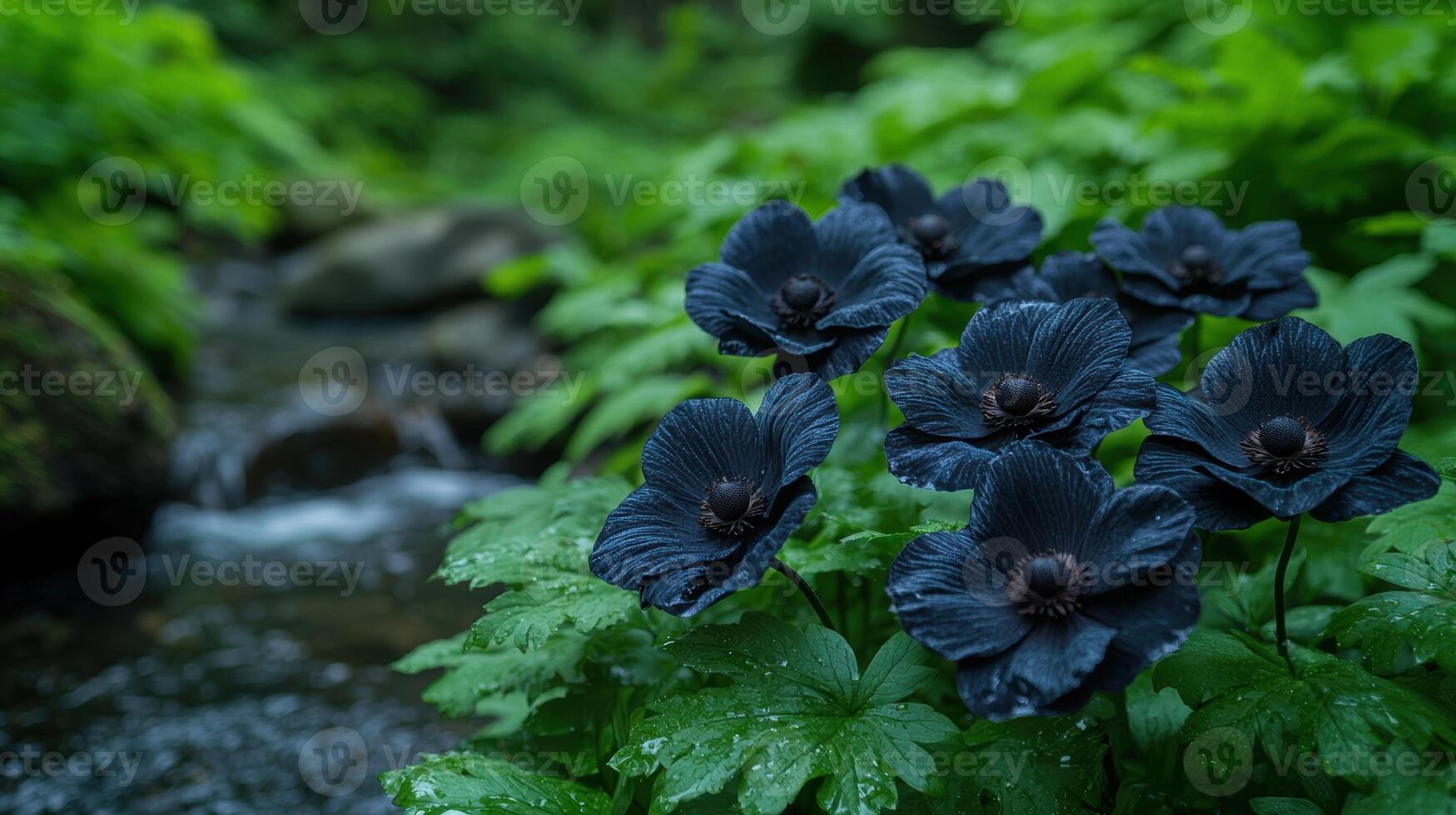 dark flowers in lush green foliage photo