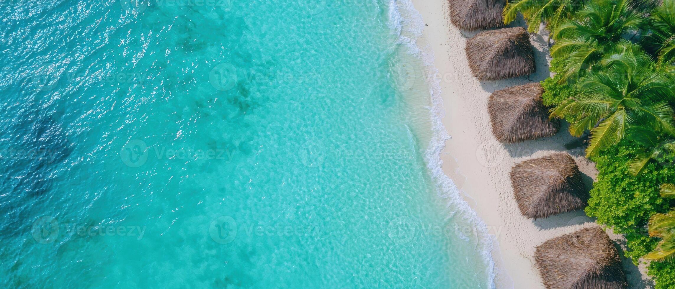 Tropical beach with crystal clear turquoise water and palm trees photo
