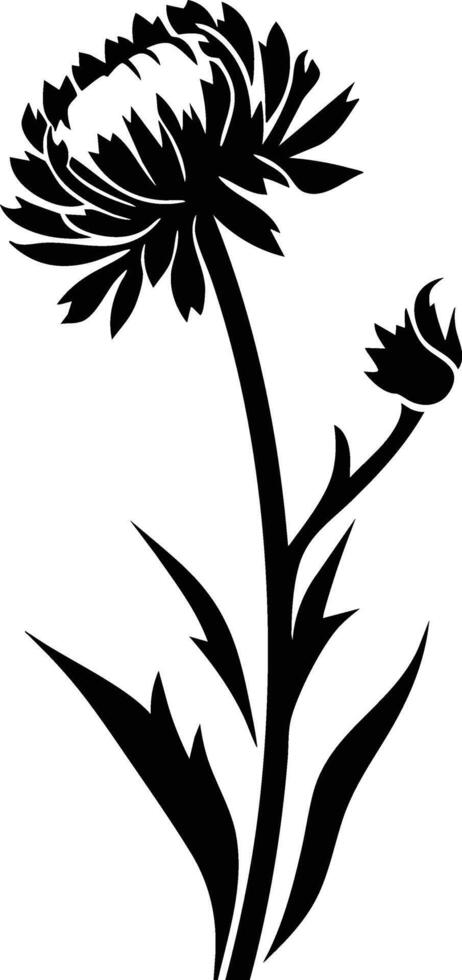 A black and white drawing of a flower vector