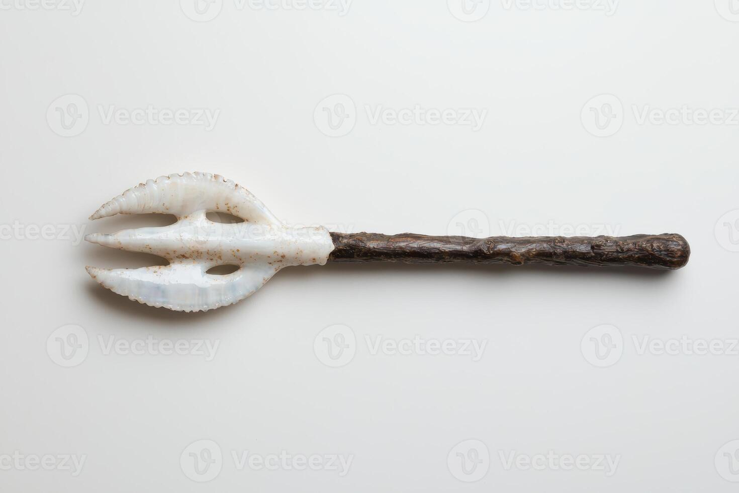Unique seashell tool on plain background photo