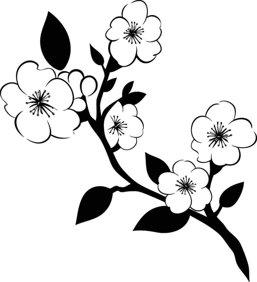 A black and white drawing of a cherry blossom vector