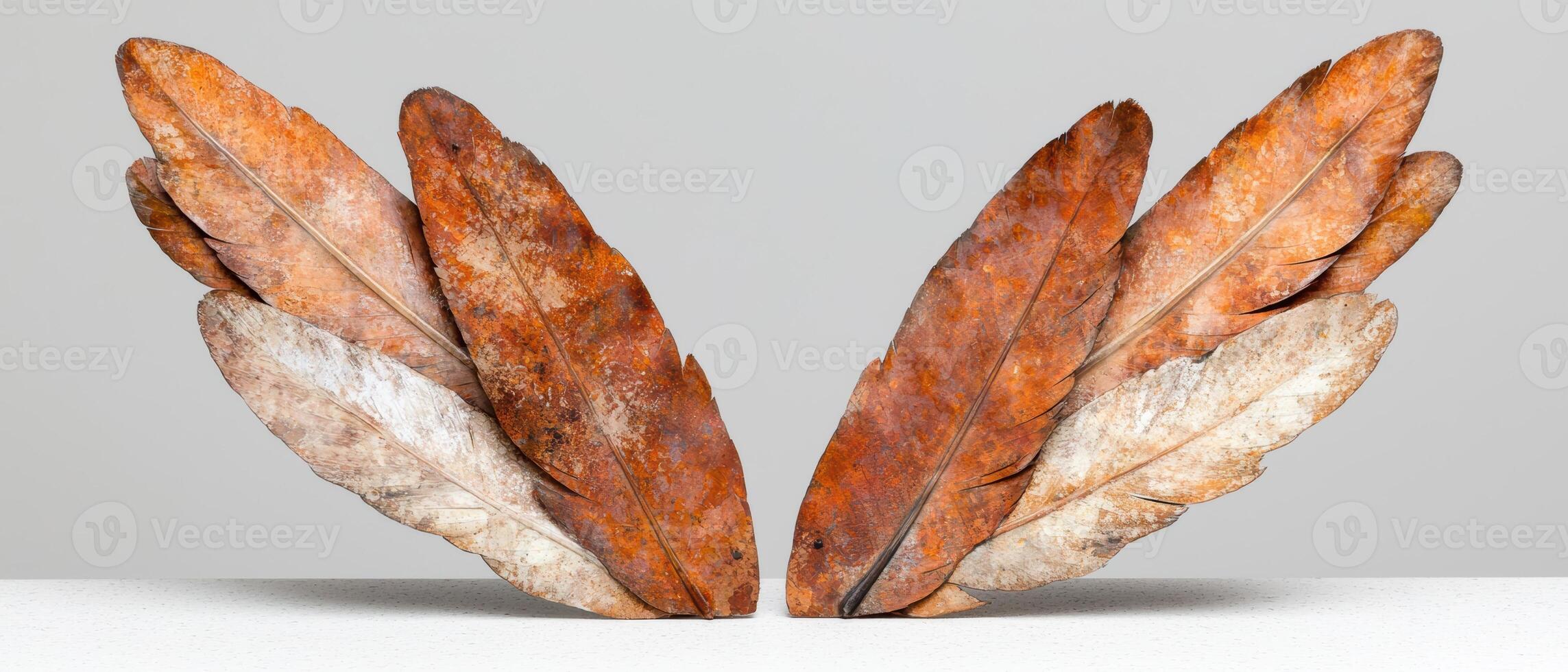 Rustic autumn leaves photo