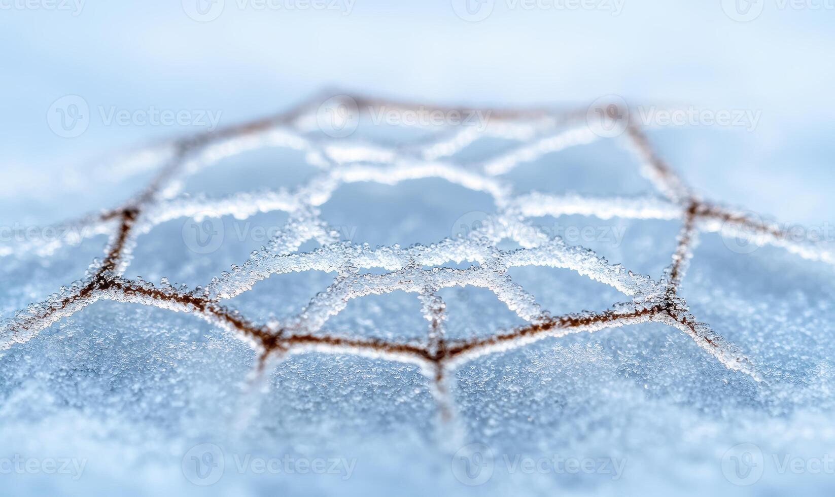 Intricate ice crystal pattern on frozen surface photo