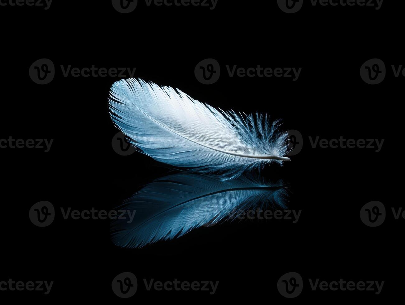 Delicate feather floating on dark background photo