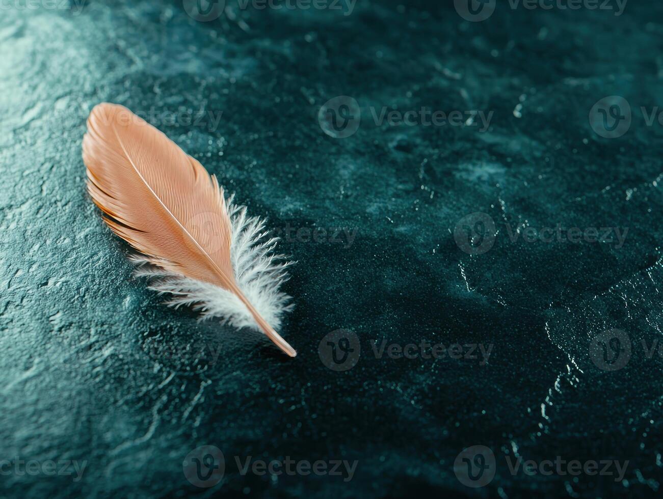Delicate feather floating on serene water surface photo