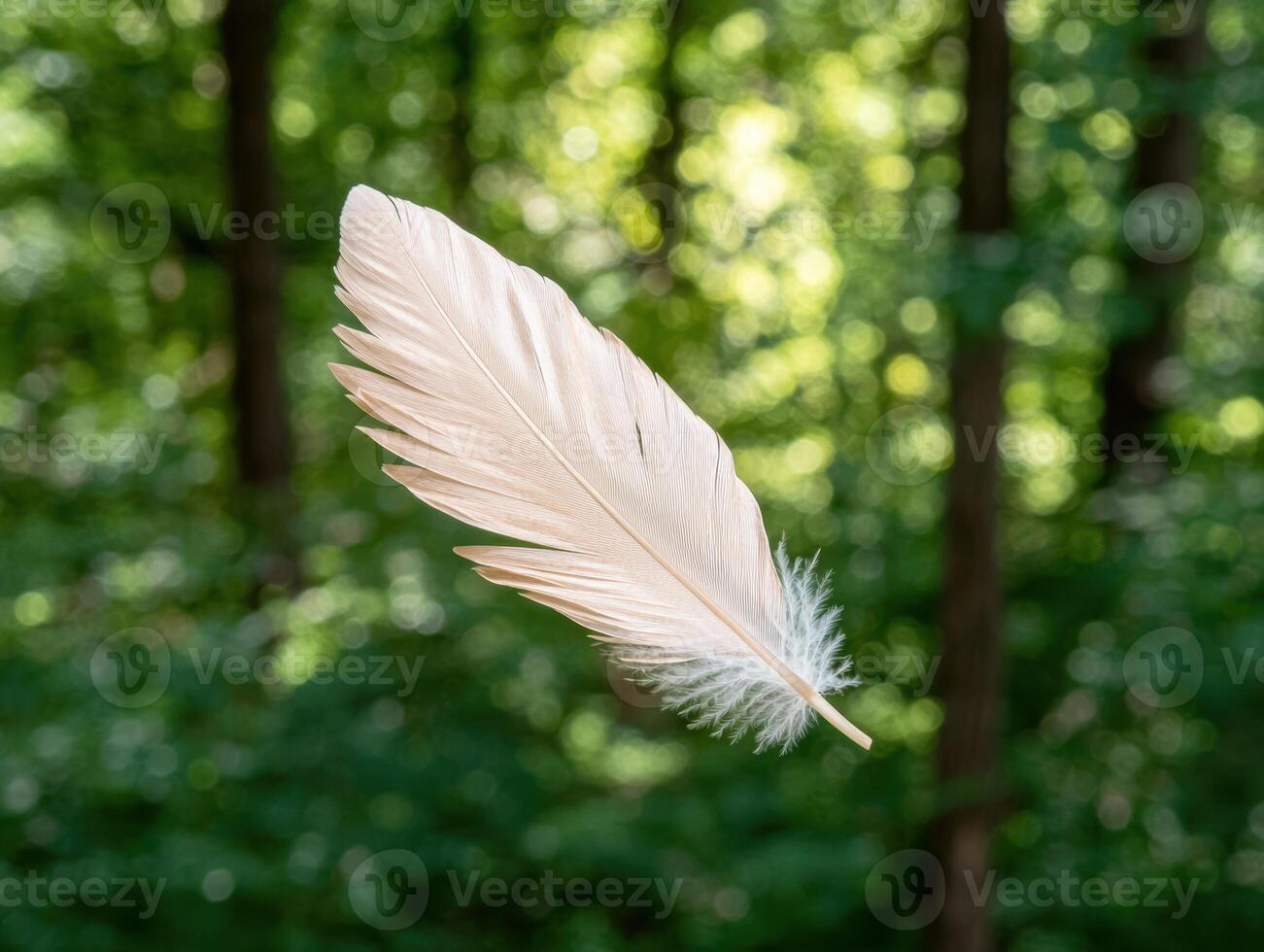 Delicate feather floating in nature photo