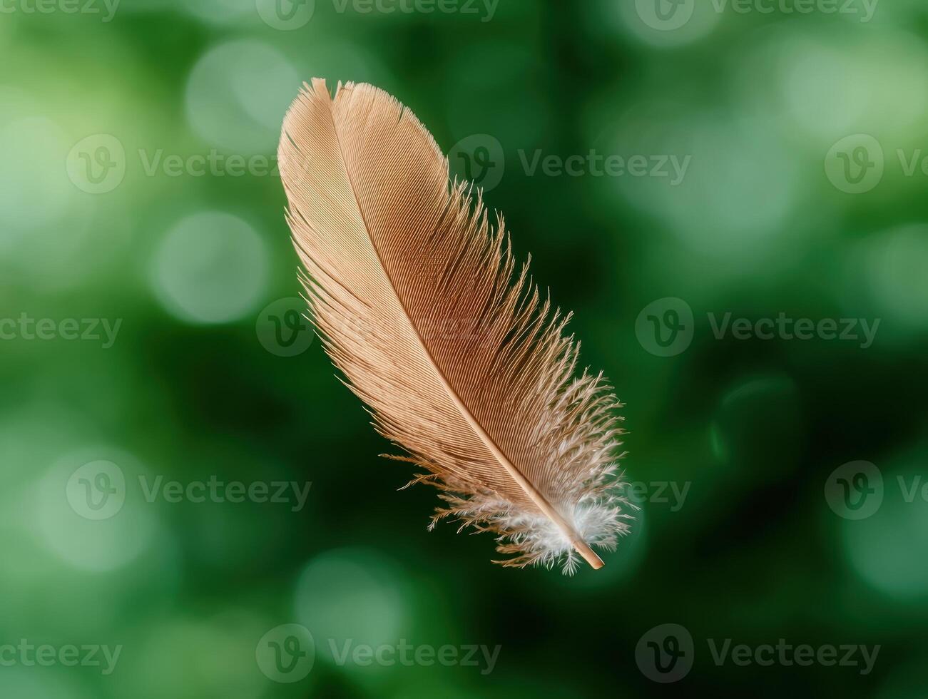 Delicate feather against blurred green background photo