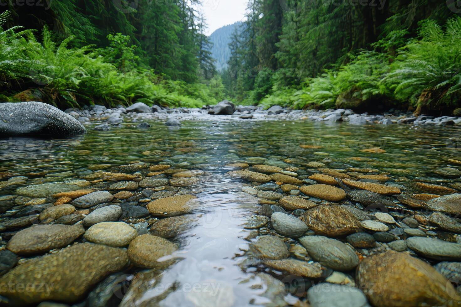 serene forest stream with mossy rocks and lush greenery photo