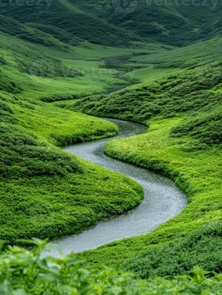 Lush green valley with winding stream photo