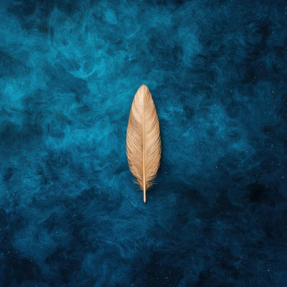 Feather floating on dark blue water photo