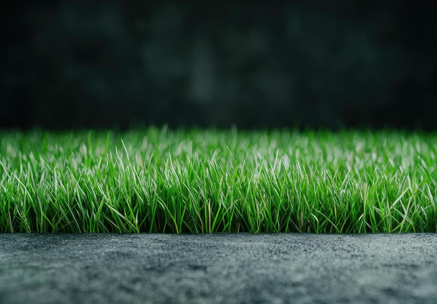 lush green grass field with dark background photo
