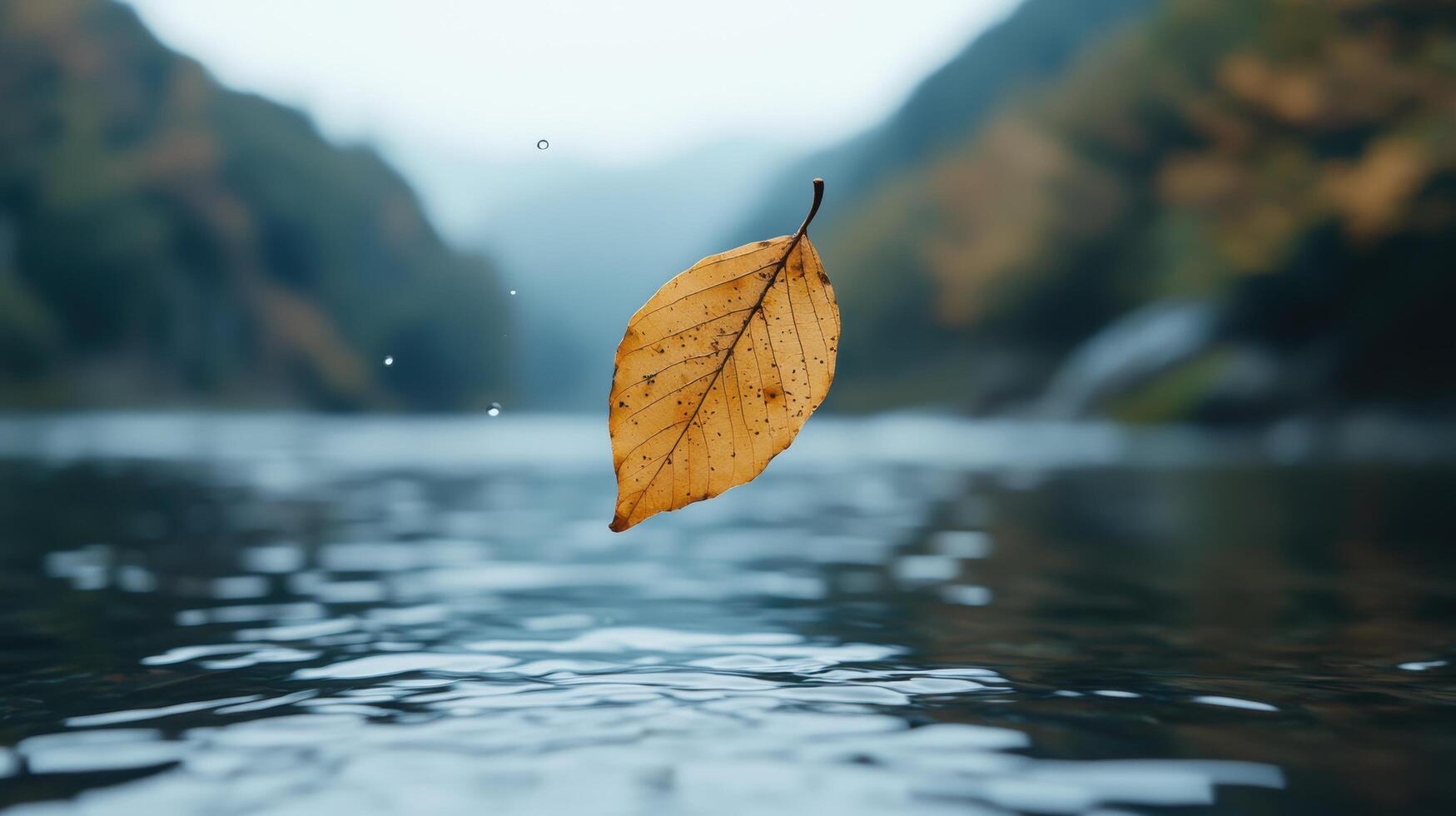 Autumn leaf floating on serene lake photo