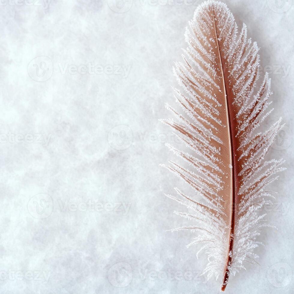 Frost covered feather on snowy background photo