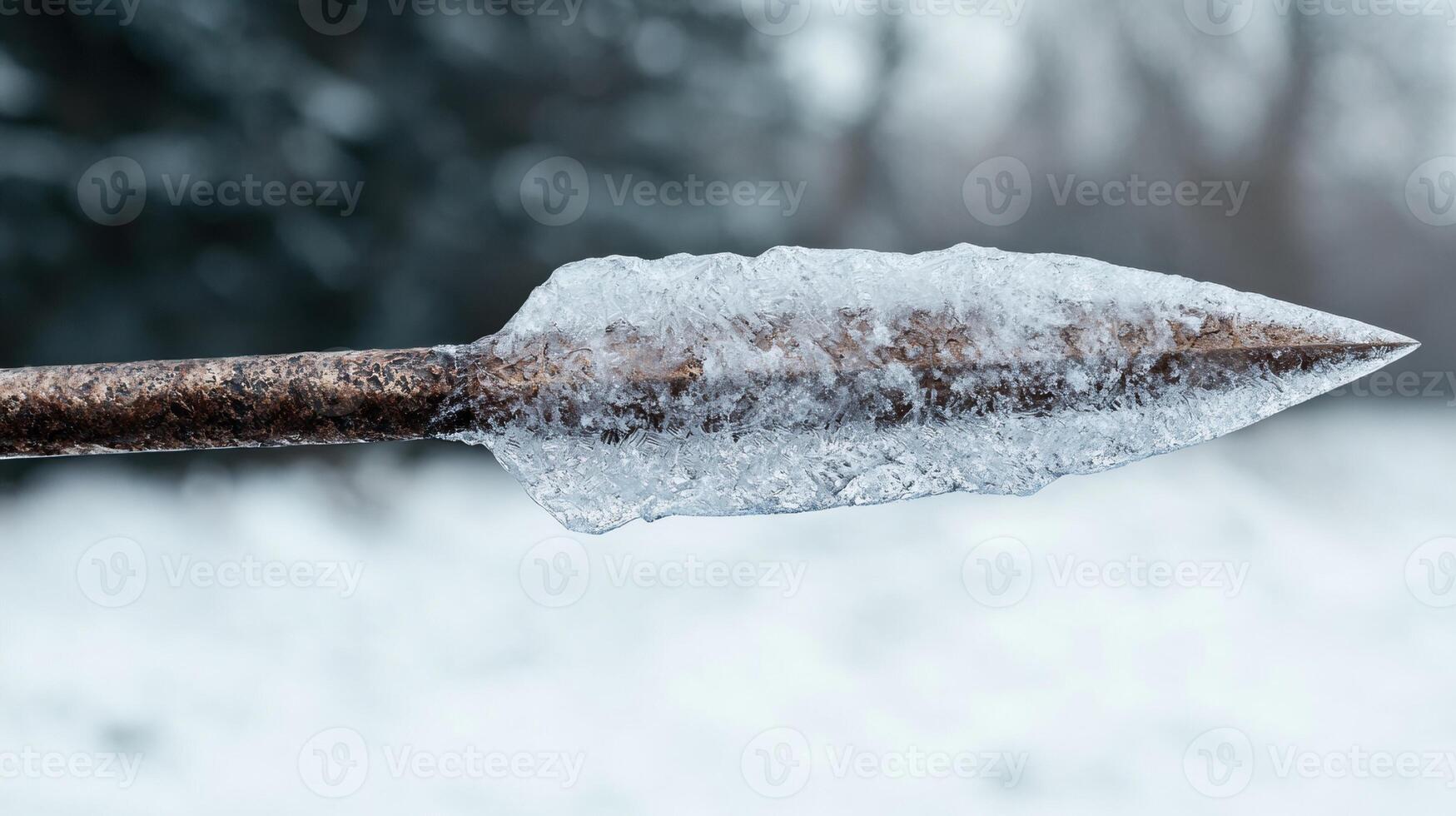 Icy spear point in winter landscape photo
