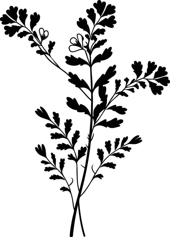 A black and white drawing of a plant vector