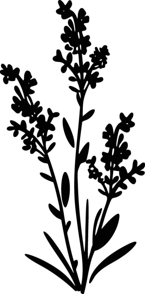 A black and white silhouette of a plant vector