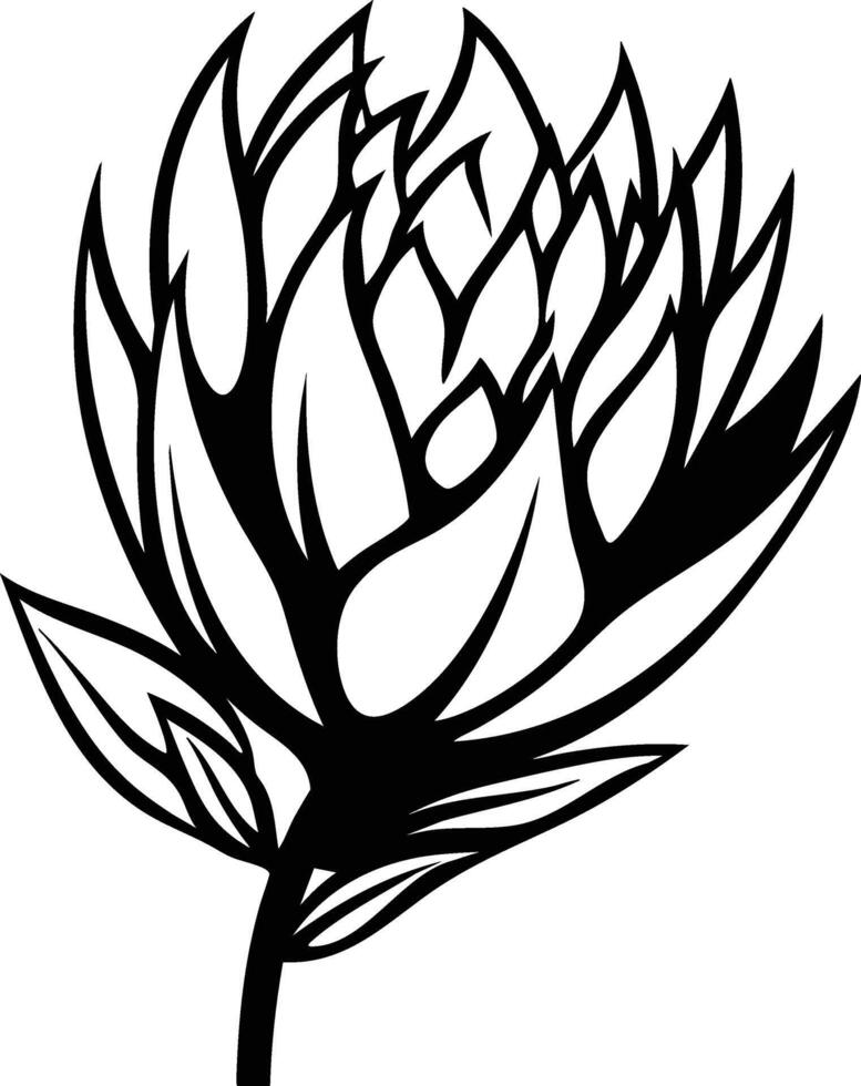 A black and white drawing of a protea flower vector