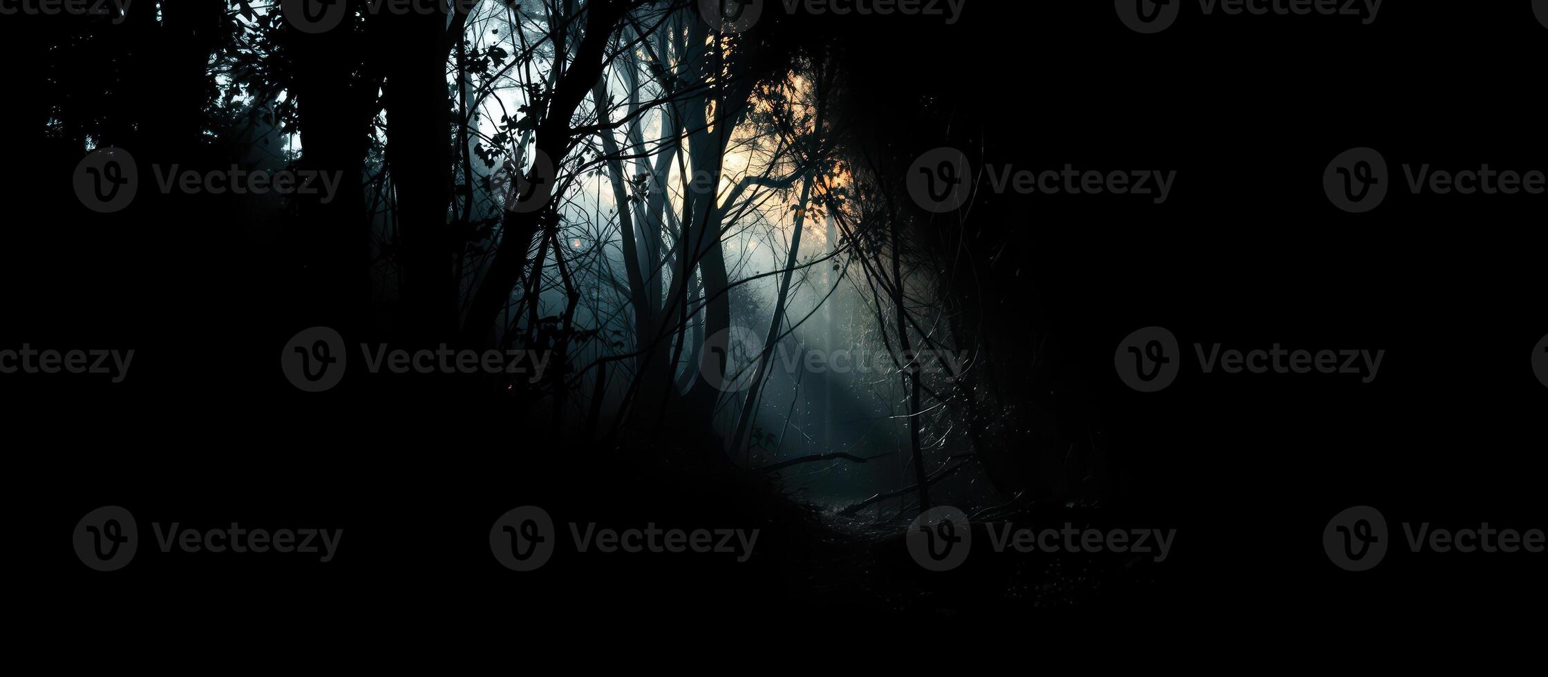 sunlight filtering through a dusty forest path photo