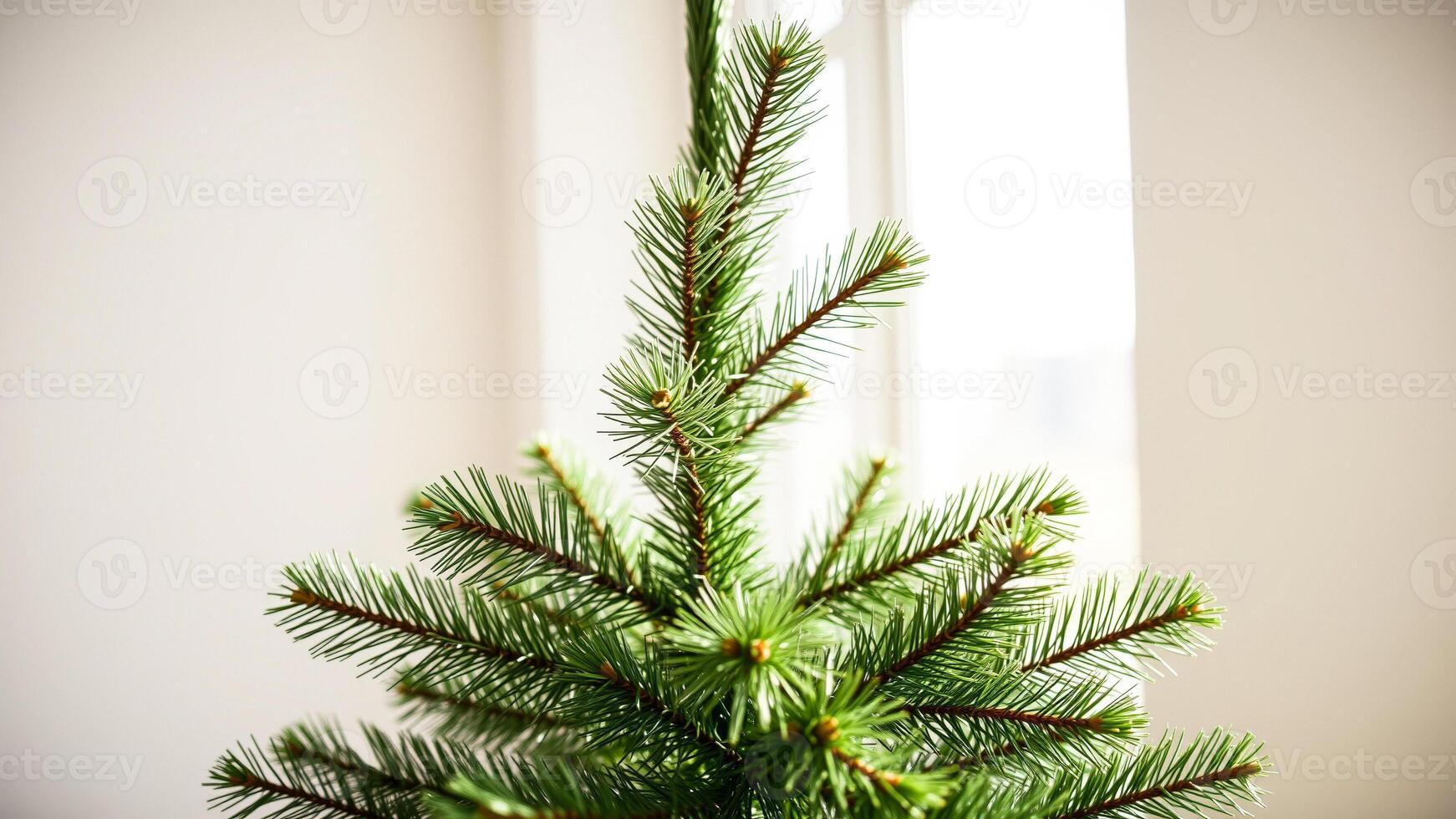 close- a lush green coniferous tree photo