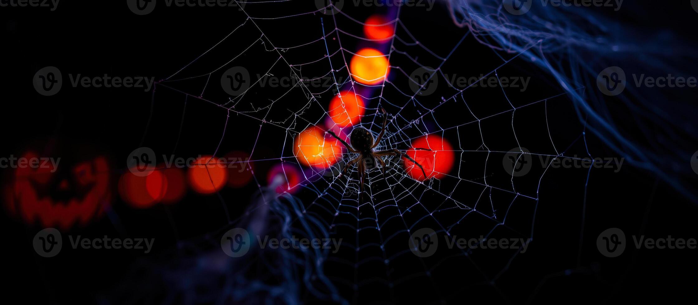 spider sits the center an intricate web against a dark background with blurry red lights. photo