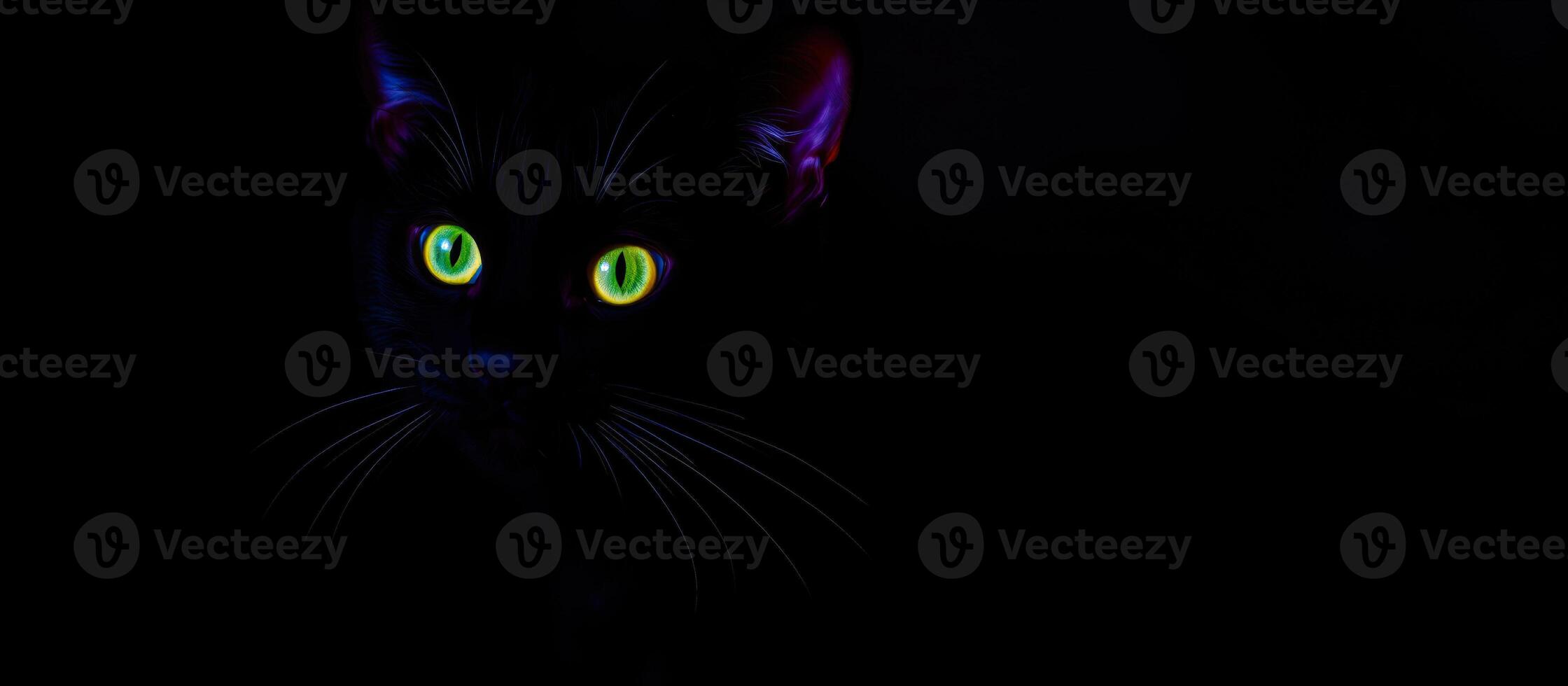 black cat's intense gaze from the shadows photo