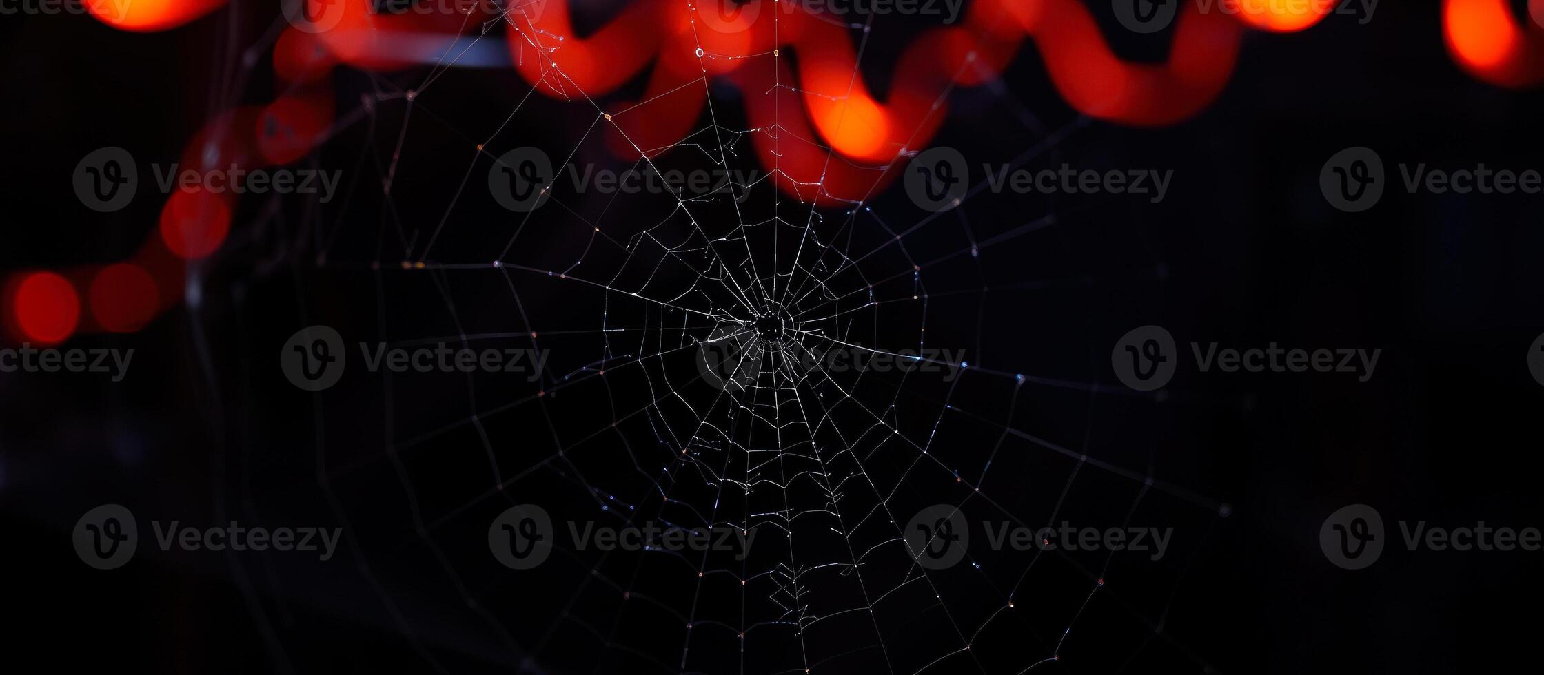 close- an intricate spider web with soft lights photo