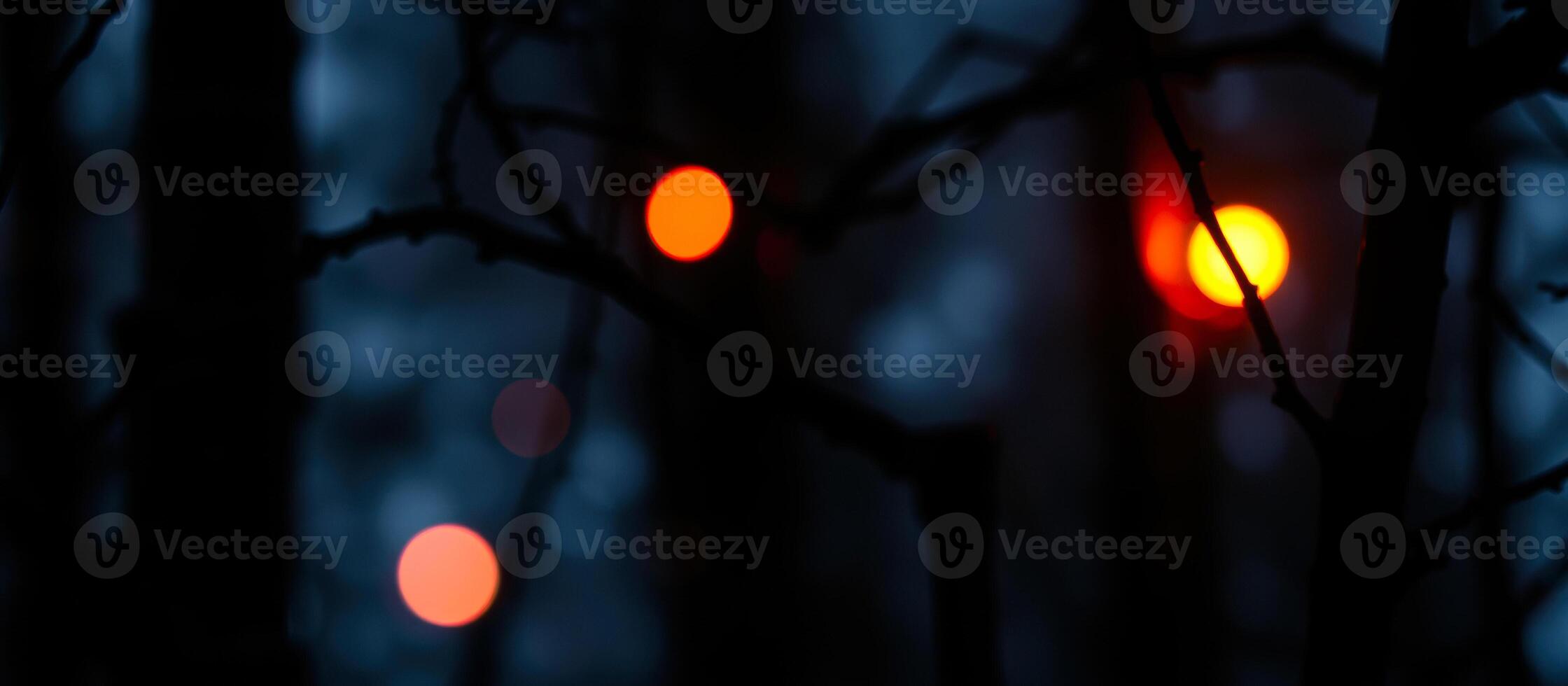 silhouetted branches with blurred red lights photo