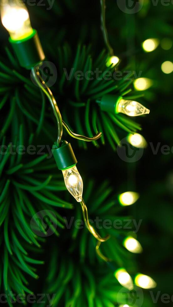 string miniature lights on a green artificial tree photo