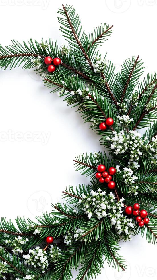 fir branch with snowy accents red berries photo