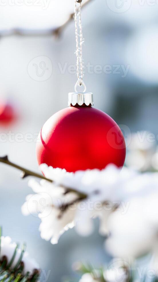 red ornament hanging from a snowy branch photo