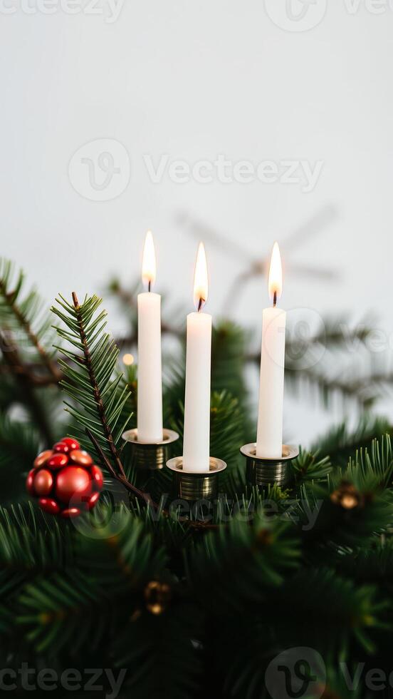 three lit candles resting among green branches photo