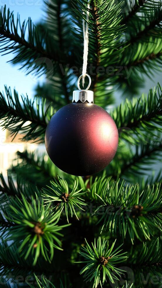 single red bauble hangs on a green evergreen tree photo