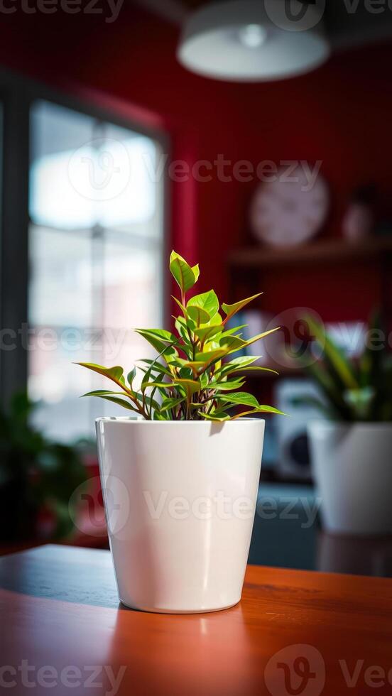 potted plant with green leaves sits on a wooden table photo