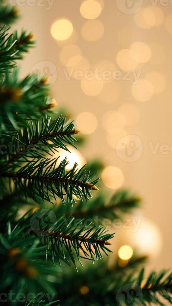 close- a pine tree branch with blurred golden lights the background photo