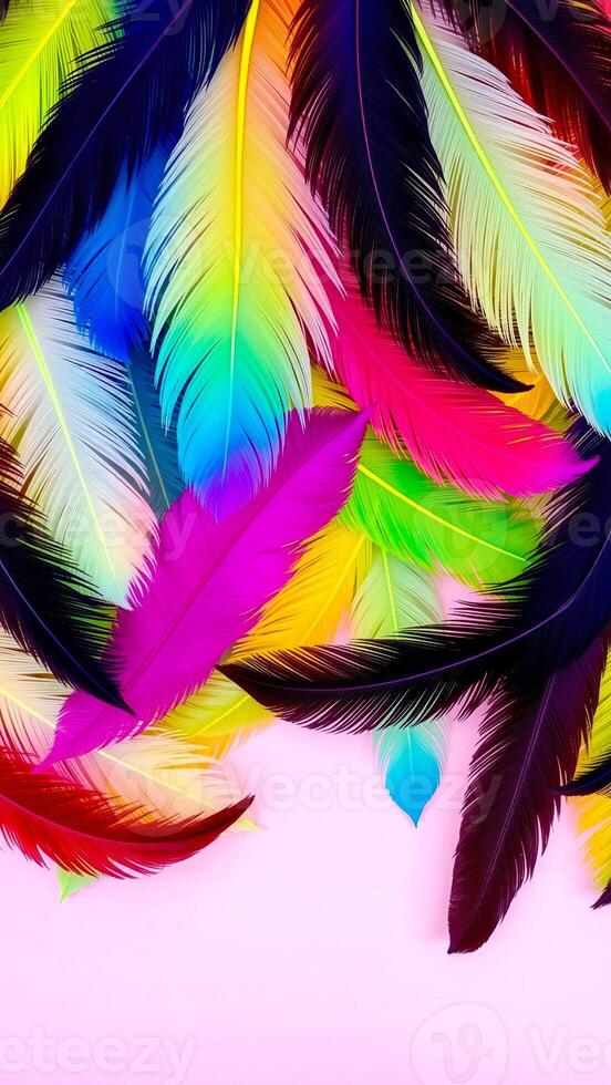 colorful arrangement feathers against a soft pink background photo