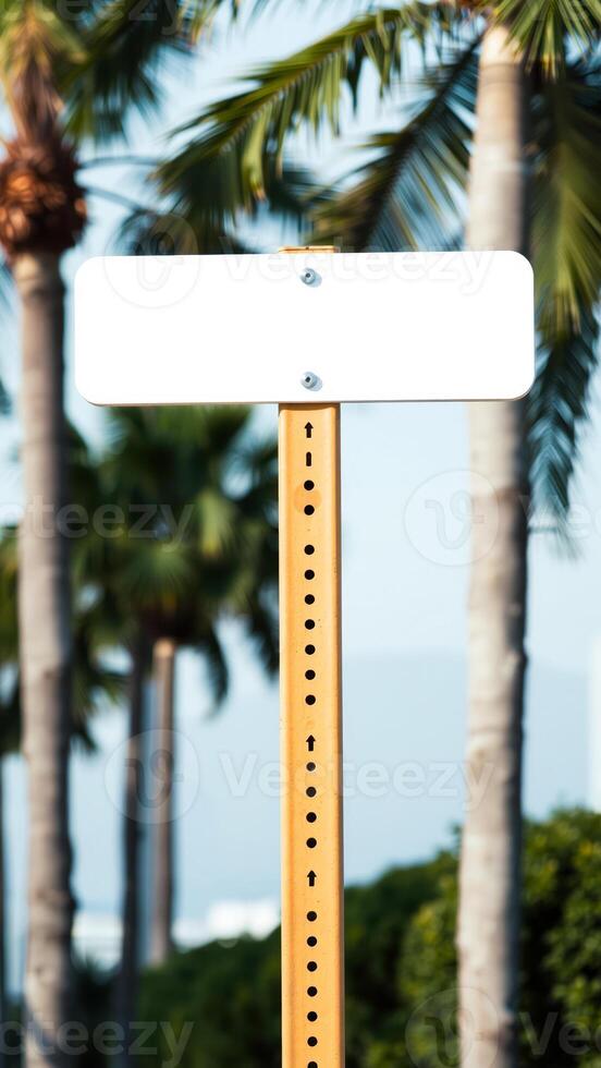 blank sign with palm trees the background photo