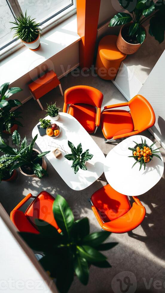 chairs green plants a modern interior design photo