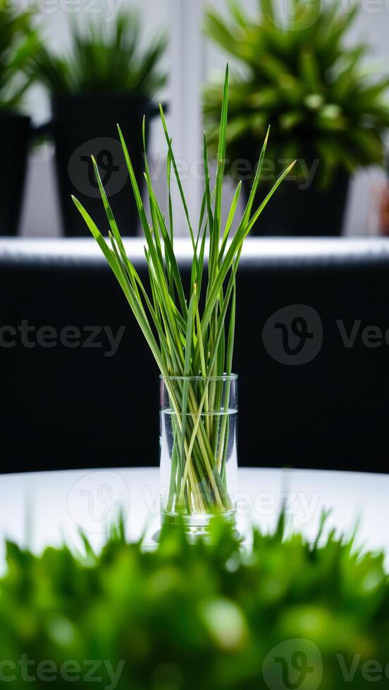 vase filled with fresh green herbs photo