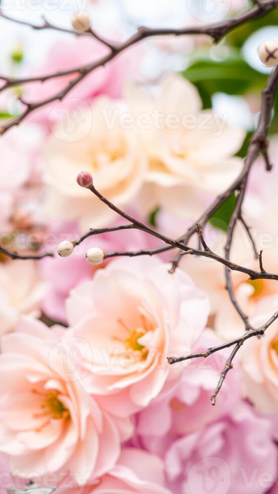 delicate flower bud extends towards the light photo