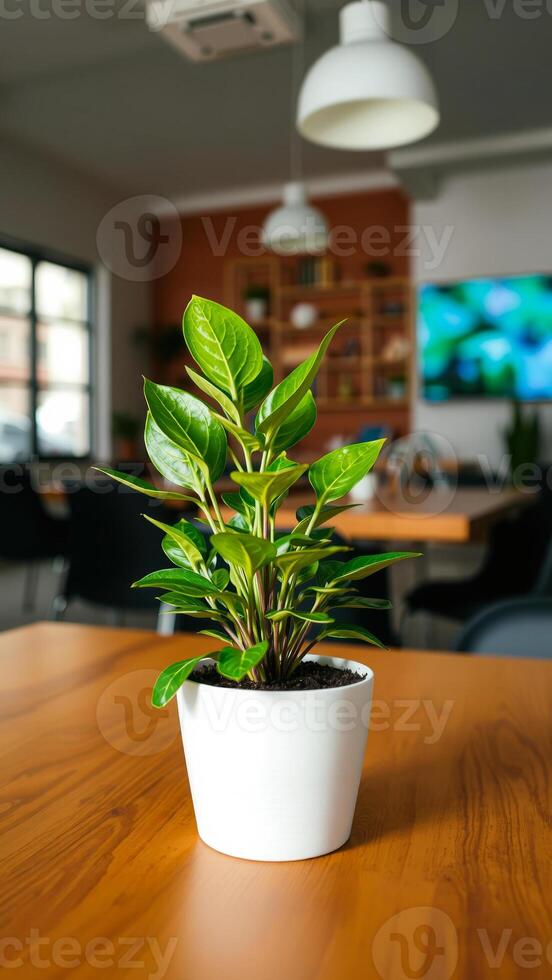 green plant adds life a modern space photo