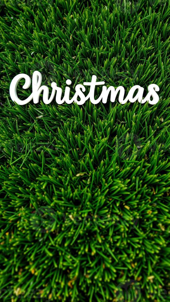 white cursive christmas on a green grass background photo
