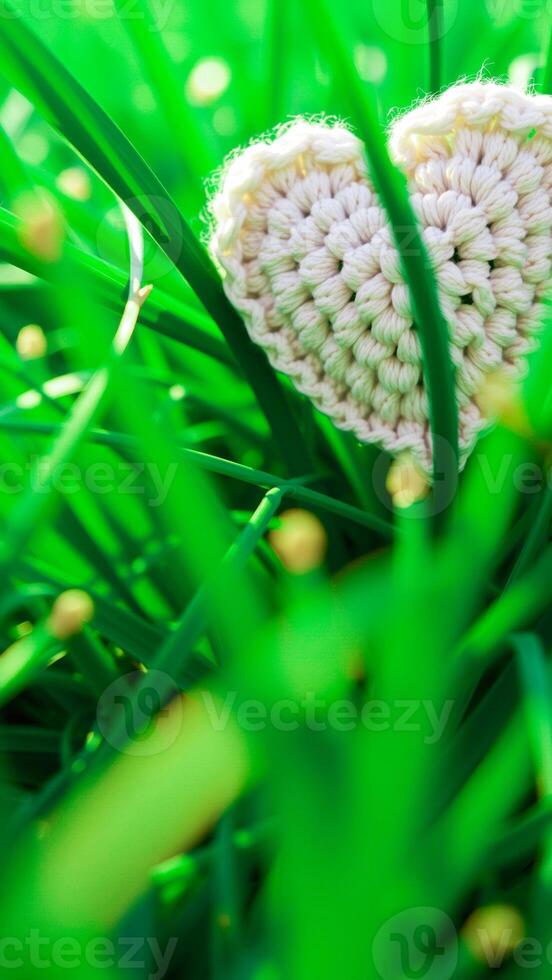 white crocheted heart hidden green grass photo