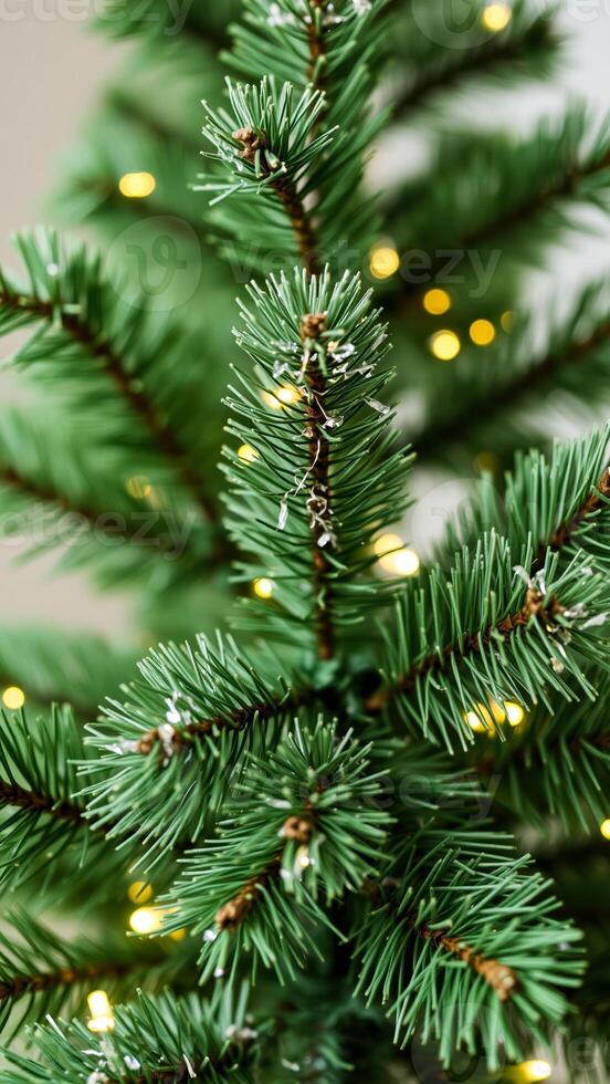 close- a pine branch adorned with string lights photo